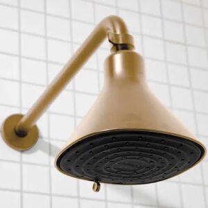 NIB Canopy Filtered Showerhead brass new new inbox amazing deal $150++
